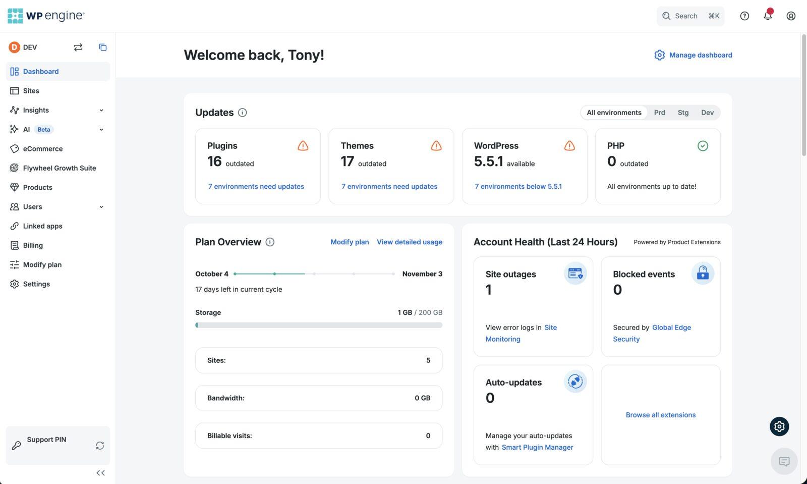 The WP Engine portal dashboard with update counts, plan overview and account health